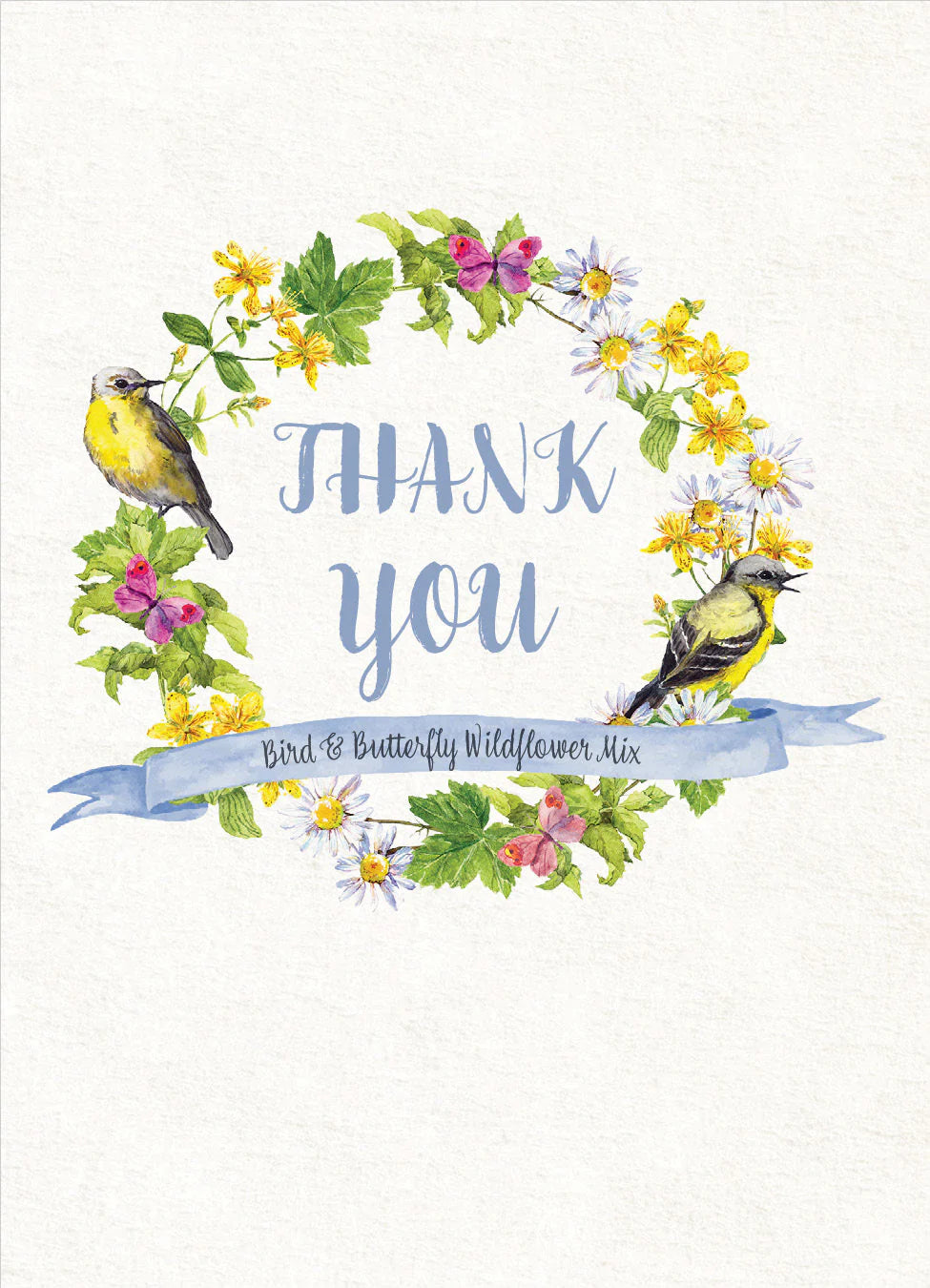 Seed Packet Cards