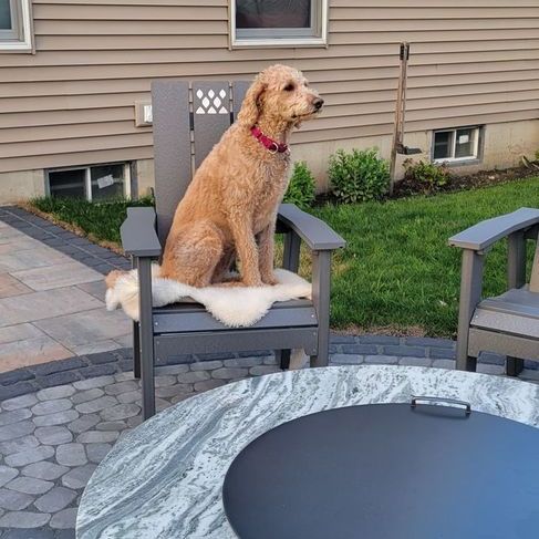 Breeo X Series Adult Chair