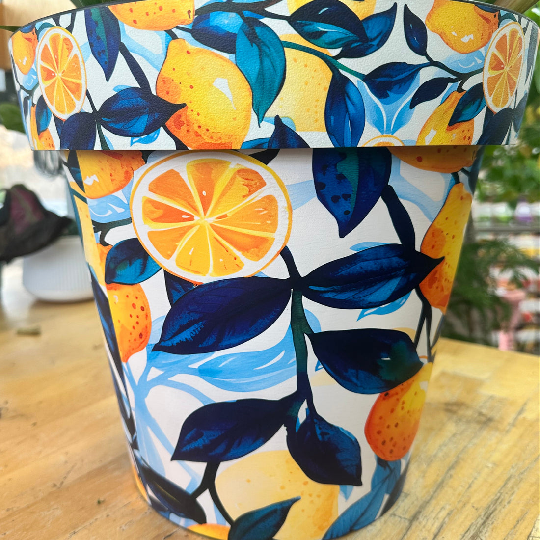 12" Zest Pot