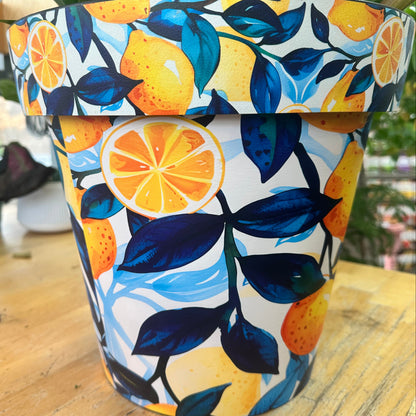 12" Zest Pot