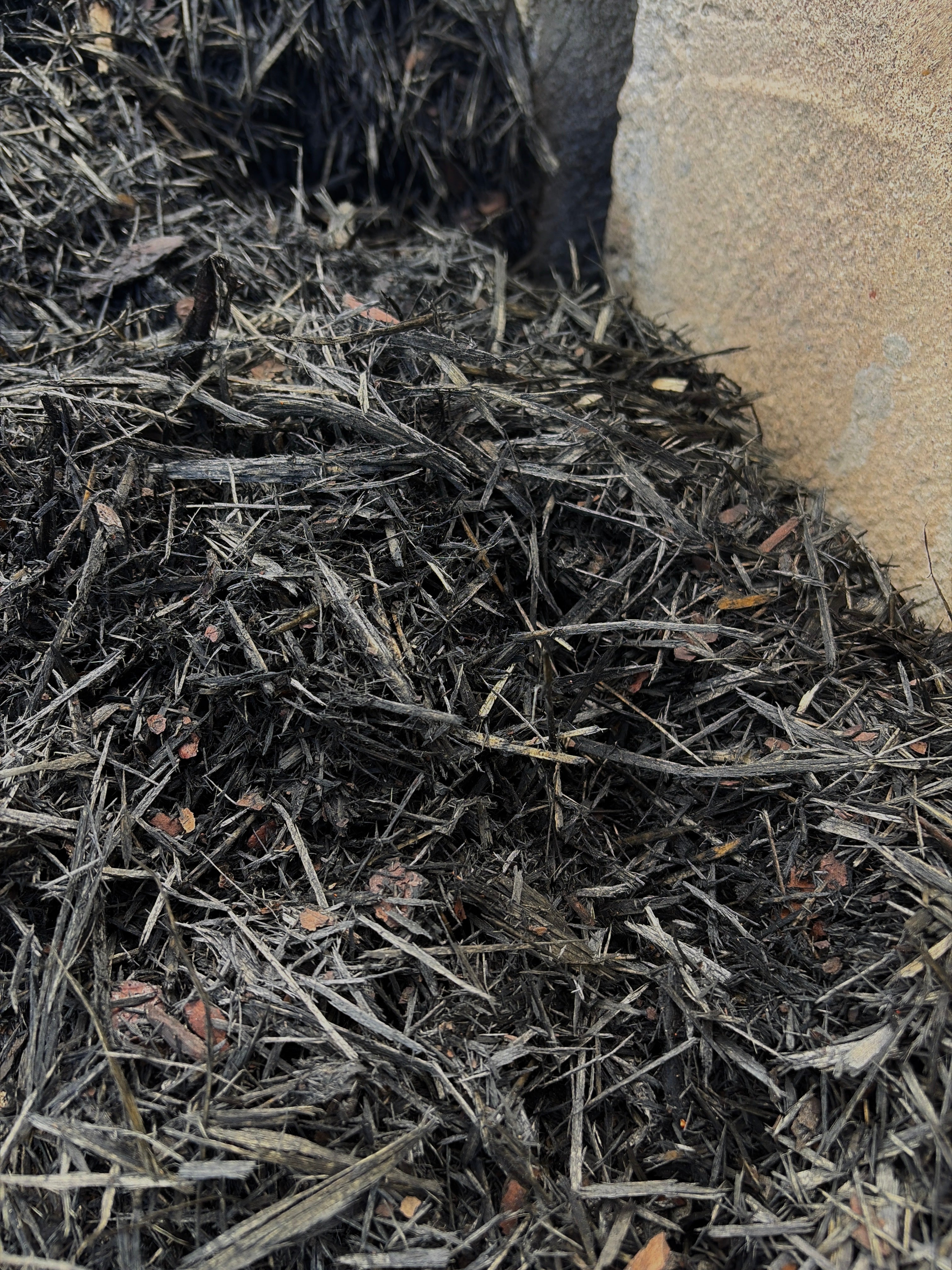 Black Mulch