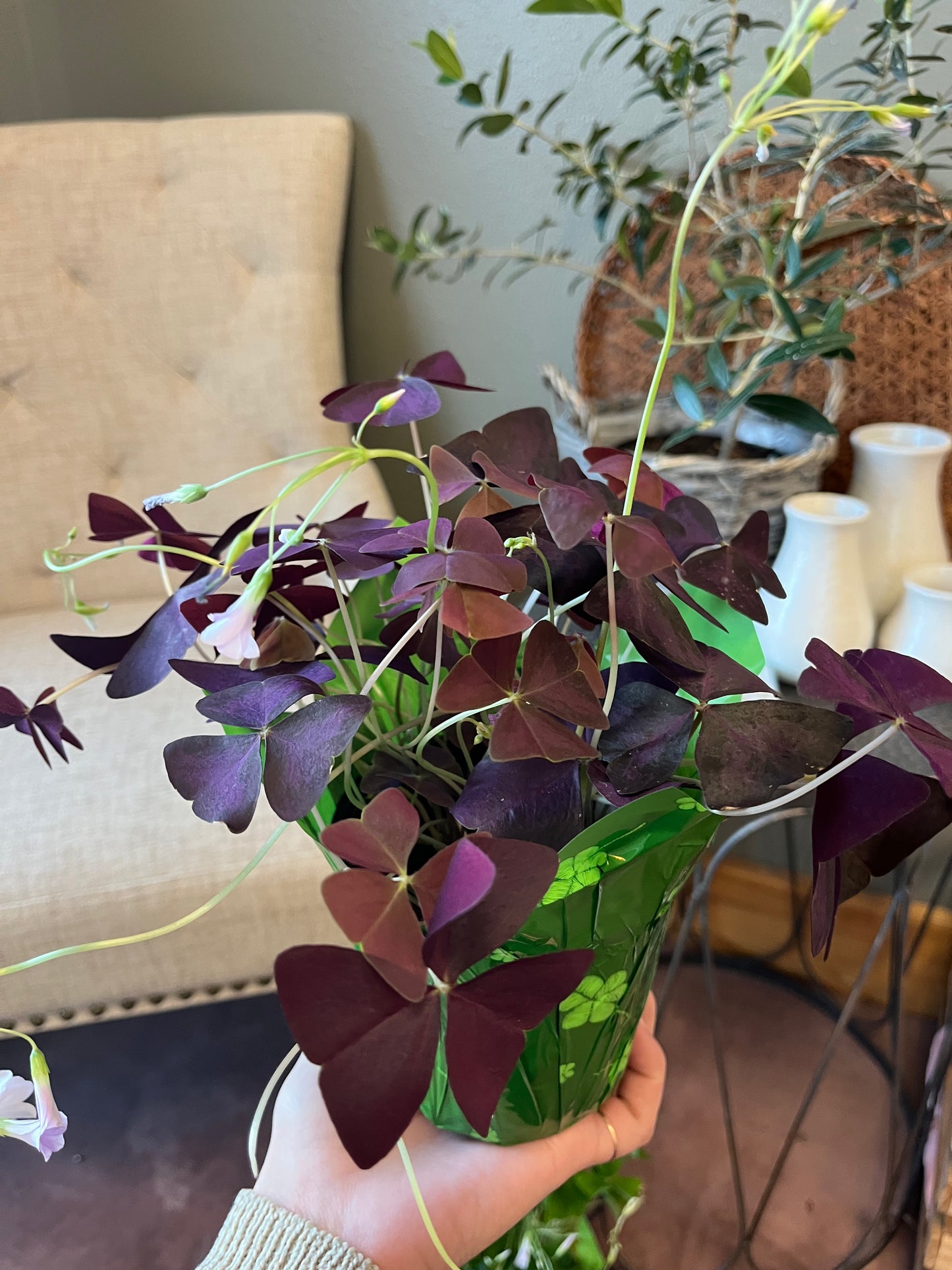 4" Shamrock