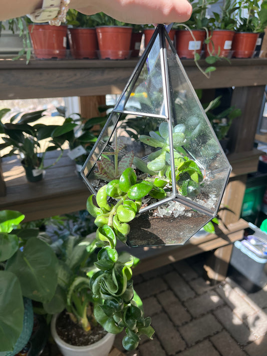 Glass Terrarium Teardrop