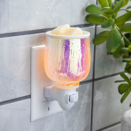 Iridescent Warmer Plug In