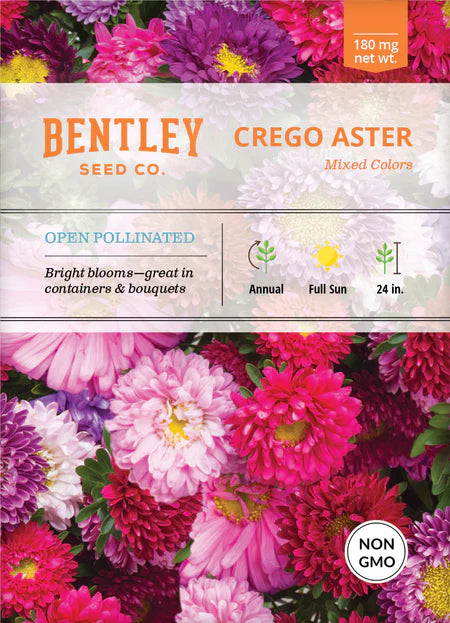 Bentley Seeds