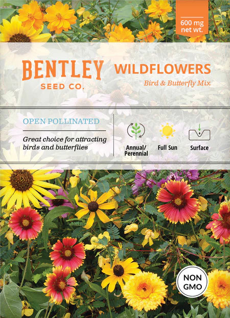 Bentley Seeds