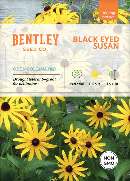 Bentley Seeds