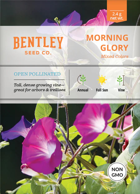 Bentley Seeds