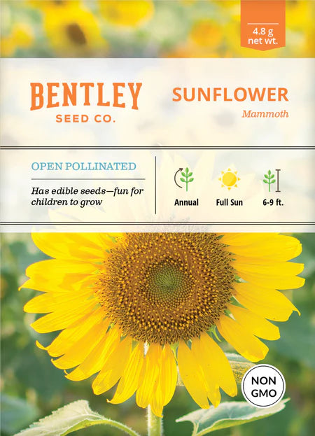 Bentley Seeds
