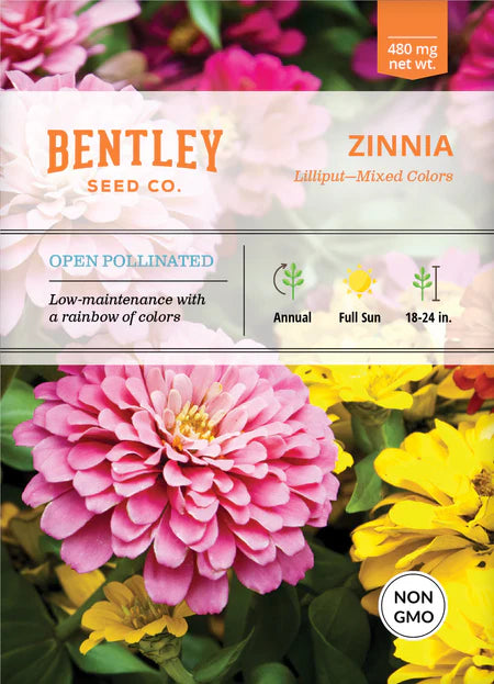 Bentley Seeds