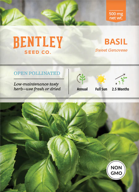Bentley Seeds