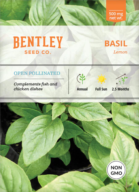 Bentley Seeds