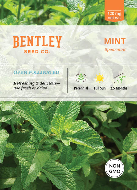 Bentley Seeds