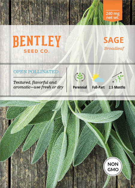 Bentley Seeds