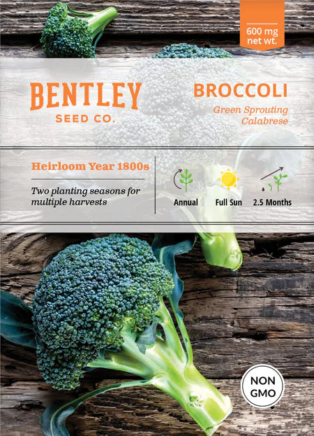 Bentley Seeds