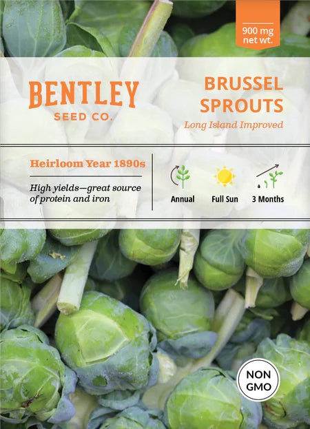 Bentley Seeds