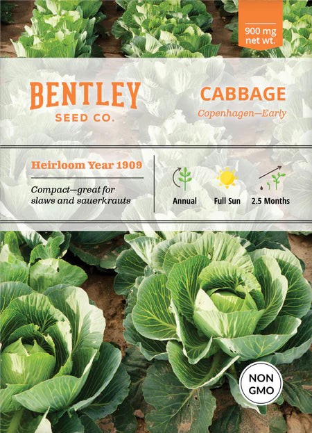 Bentley Seeds