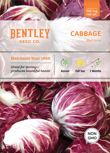 Bentley Seeds