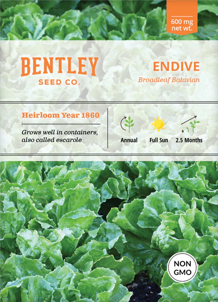 Bentley Seeds