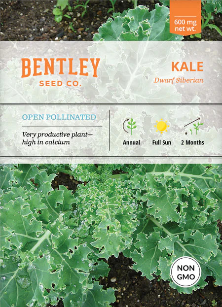 Bentley Seeds