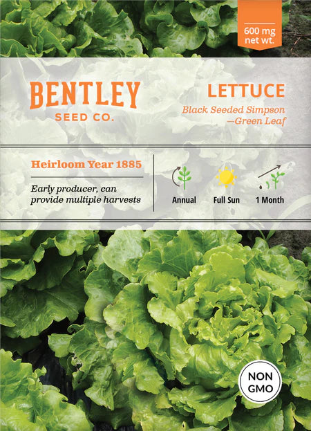 Bentley Seeds