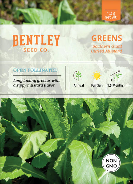 Bentley Seeds