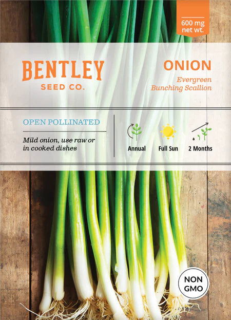 Bentley Seeds