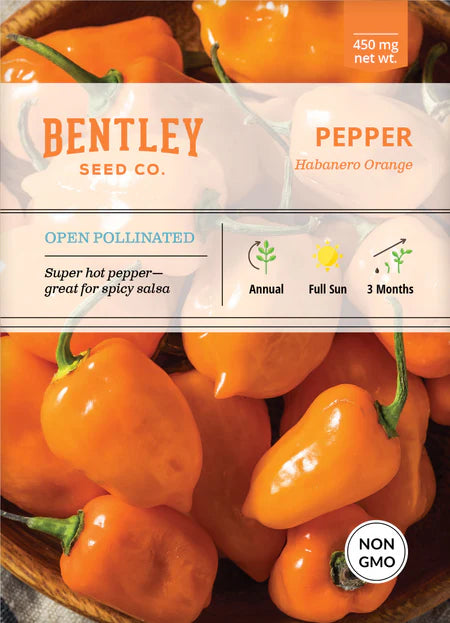 Bentley Seeds