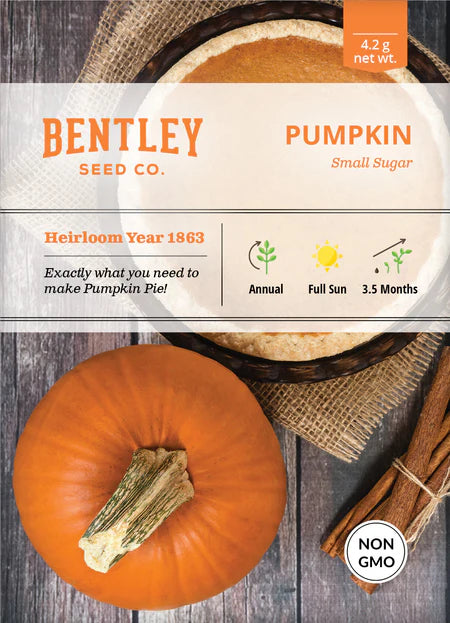 Bentley Seeds