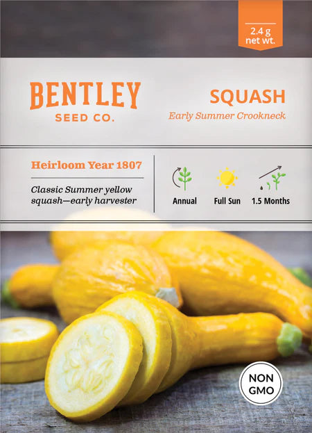Bentley Seeds