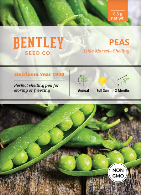 Bentley Seeds