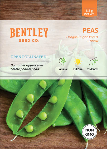 Bentley Seeds