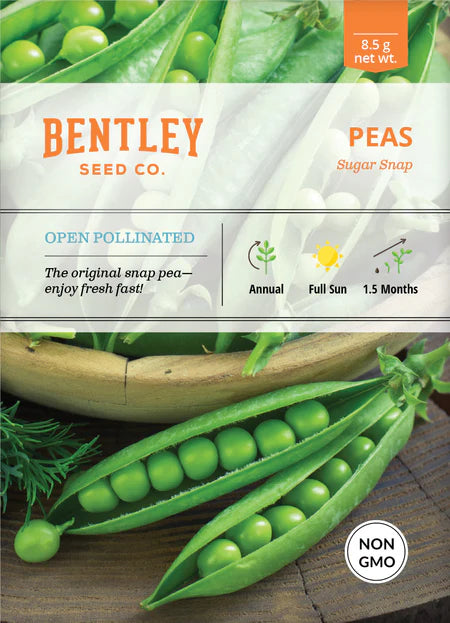 Bentley Seeds