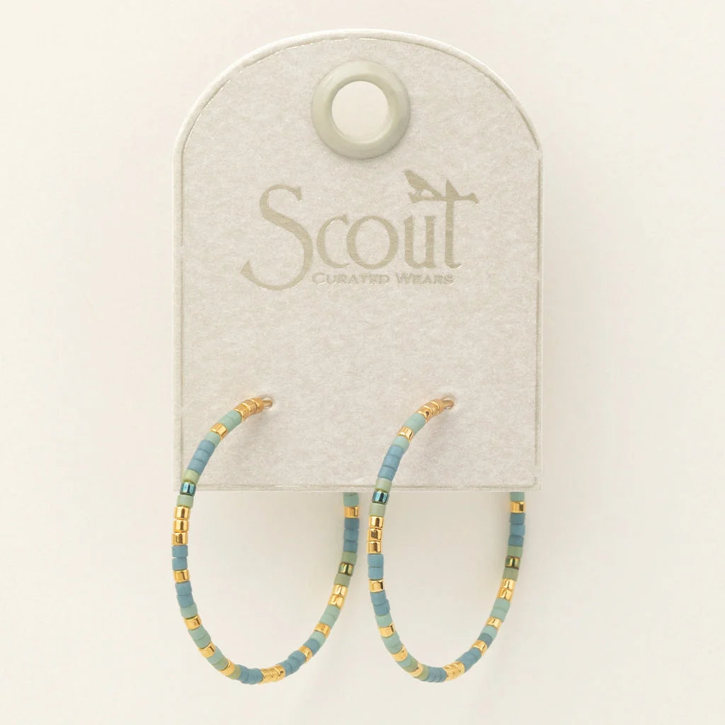 Chromacolor Hoop