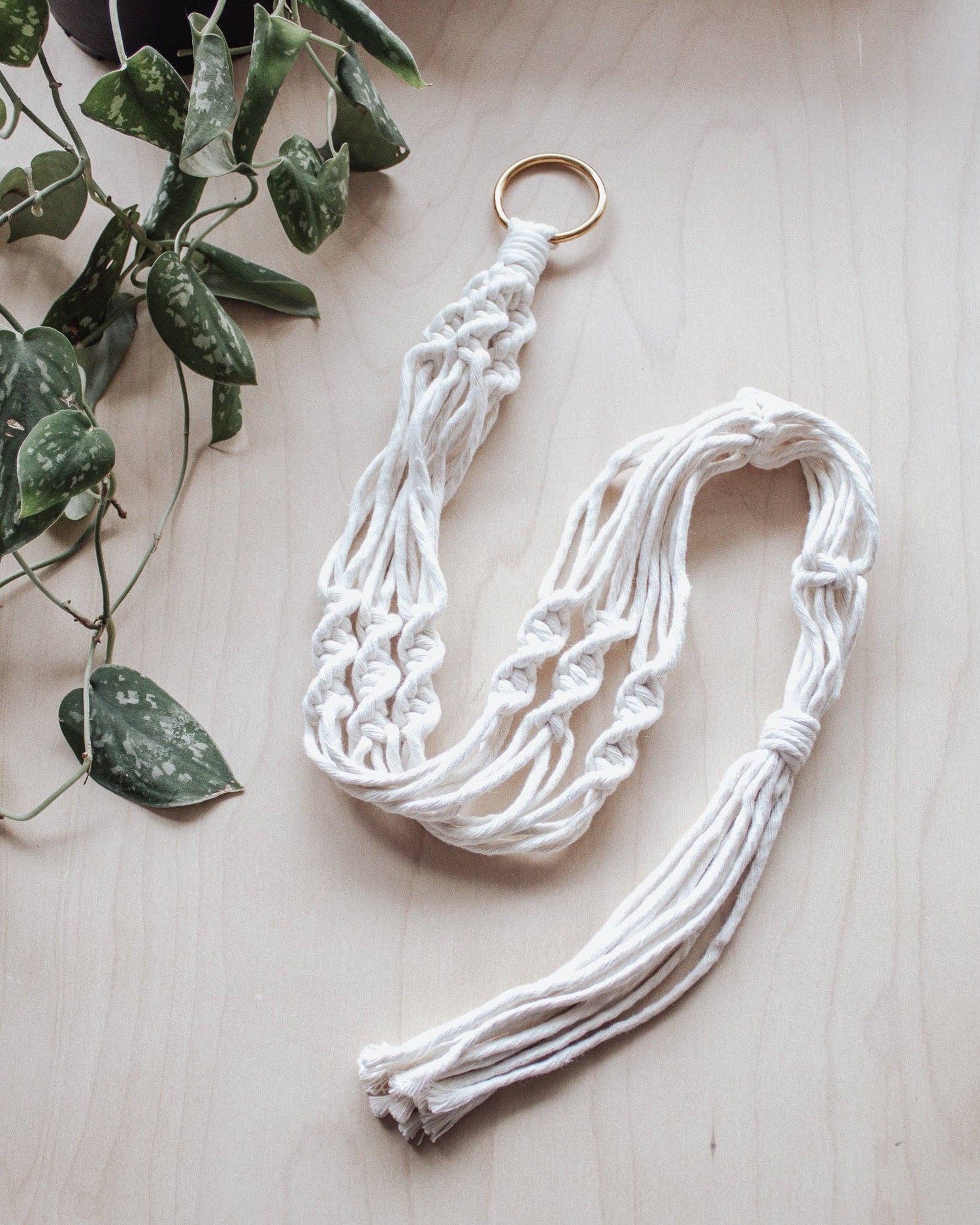 Simple Twist Macrame Plant Hanger