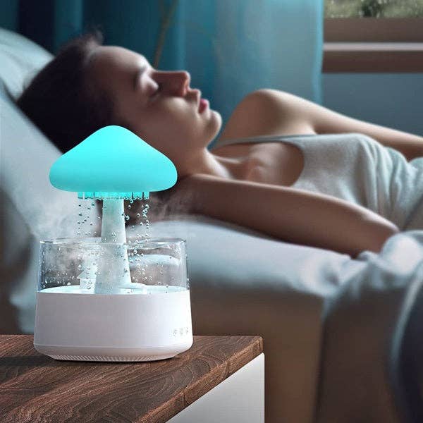 Rain Cloud Humidifier
