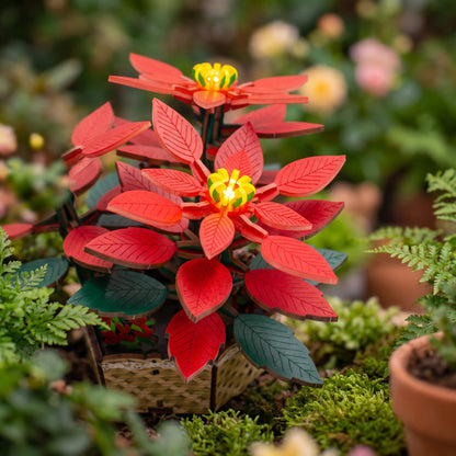 DIY Flower light Kit: Poinsettia