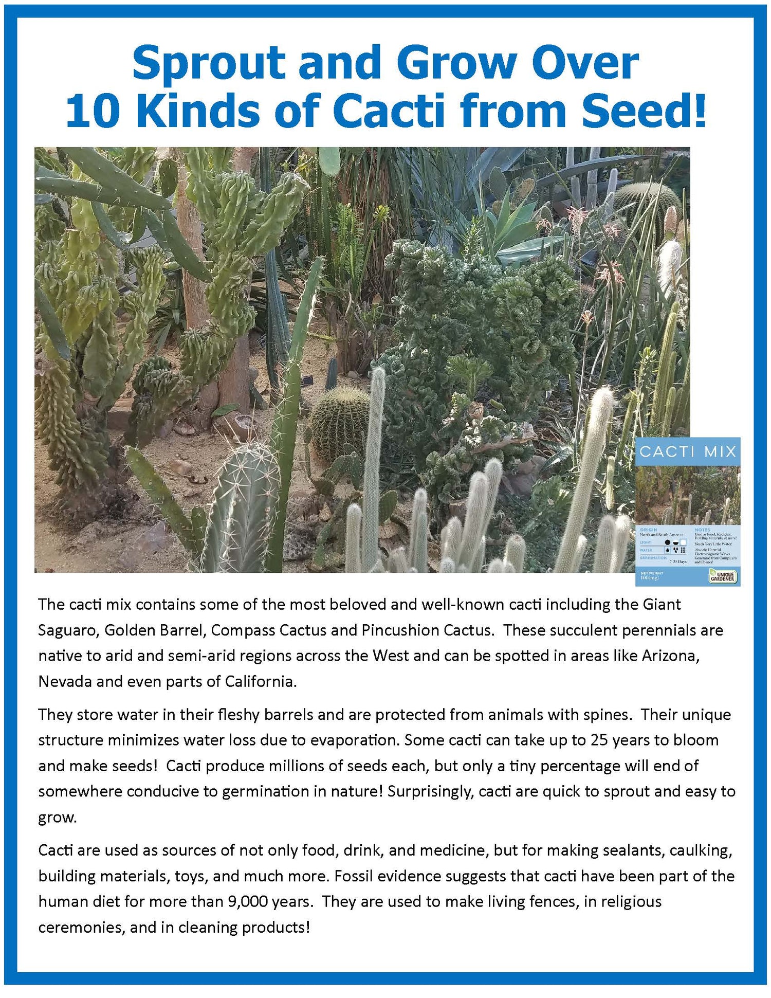 Mini Desert Cacti Kit