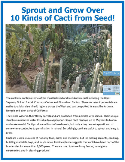 Mini Desert Cacti Kit