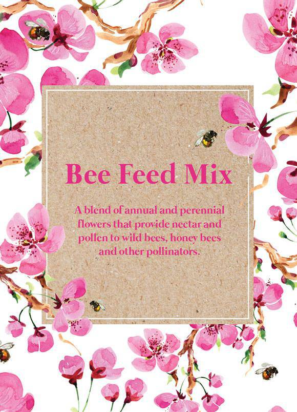 Seed Packet Cards