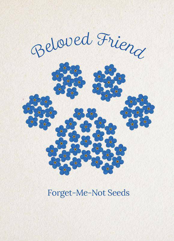 Seed Packet Cards