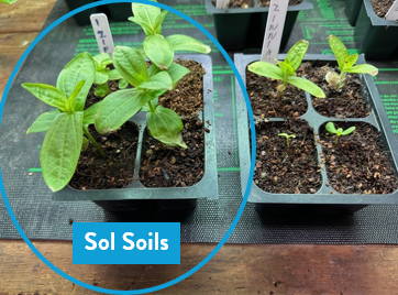 Soil (1Gal) Seedling &amp; Propagation Mix