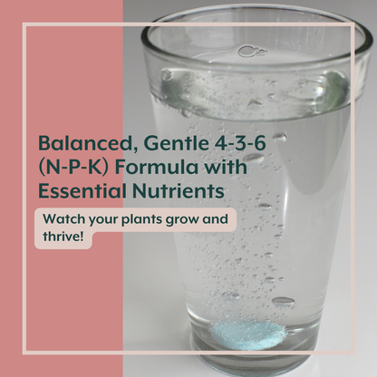 Soluble Houseplant Fertilizer