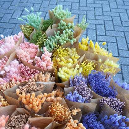 Dried Flowers Lilac Mix