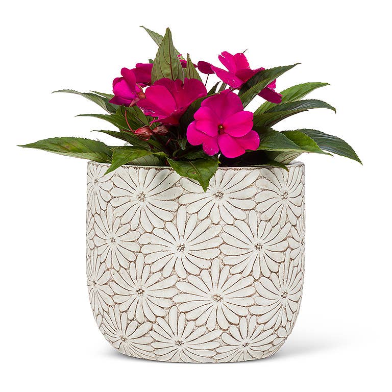 Classic Daisy Planter- Round