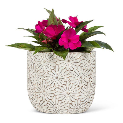Classic Daisy Planter- Round