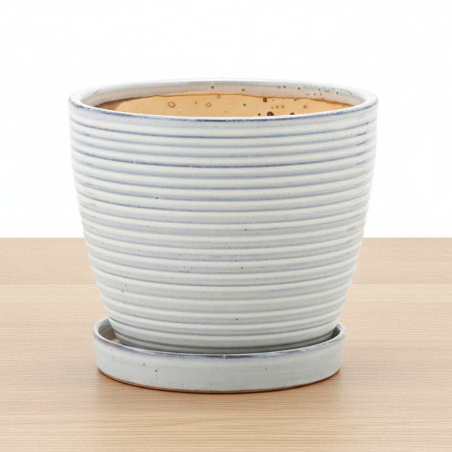 Whimsical 6" Planter