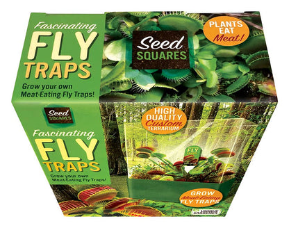 Flytraps Seed Square Terrarium