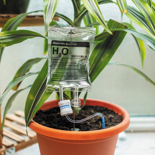 Life Support Houseplant Device