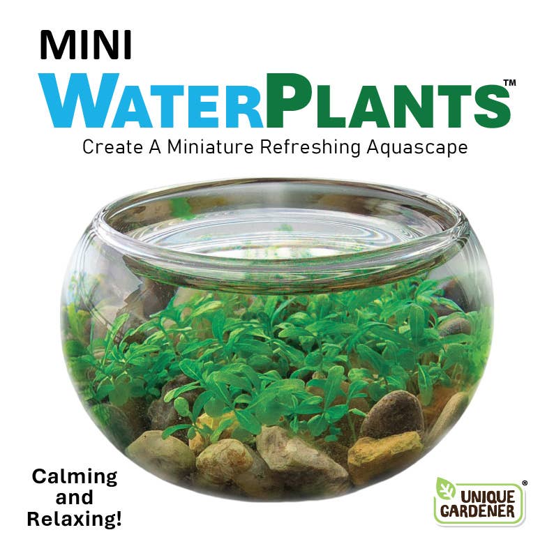 Water Plant Kit